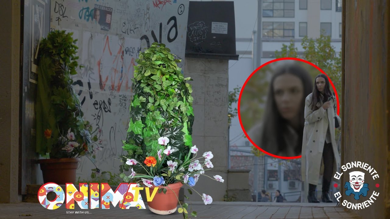 Pema që frikësoi Prishtinën 😭🌳 – s’e besoni reagimin e fundit!