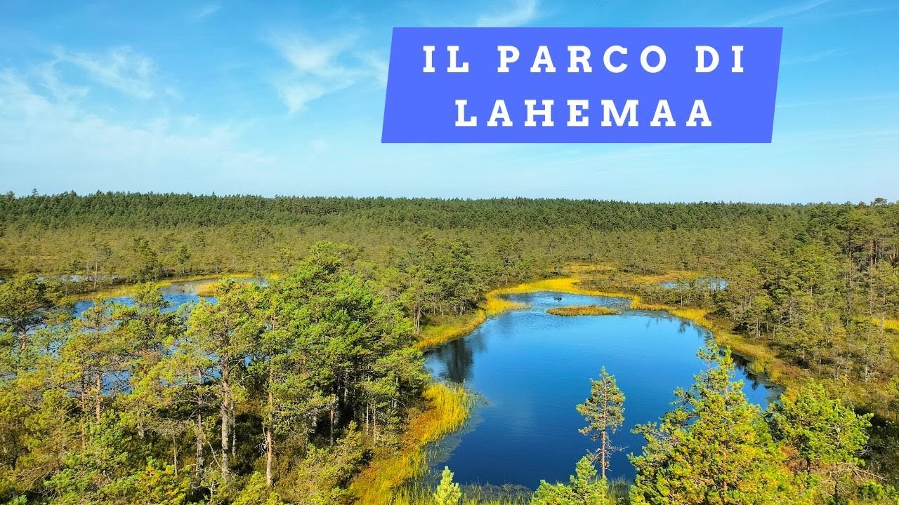 Il parco nazionale di Lahemaa in Estonia