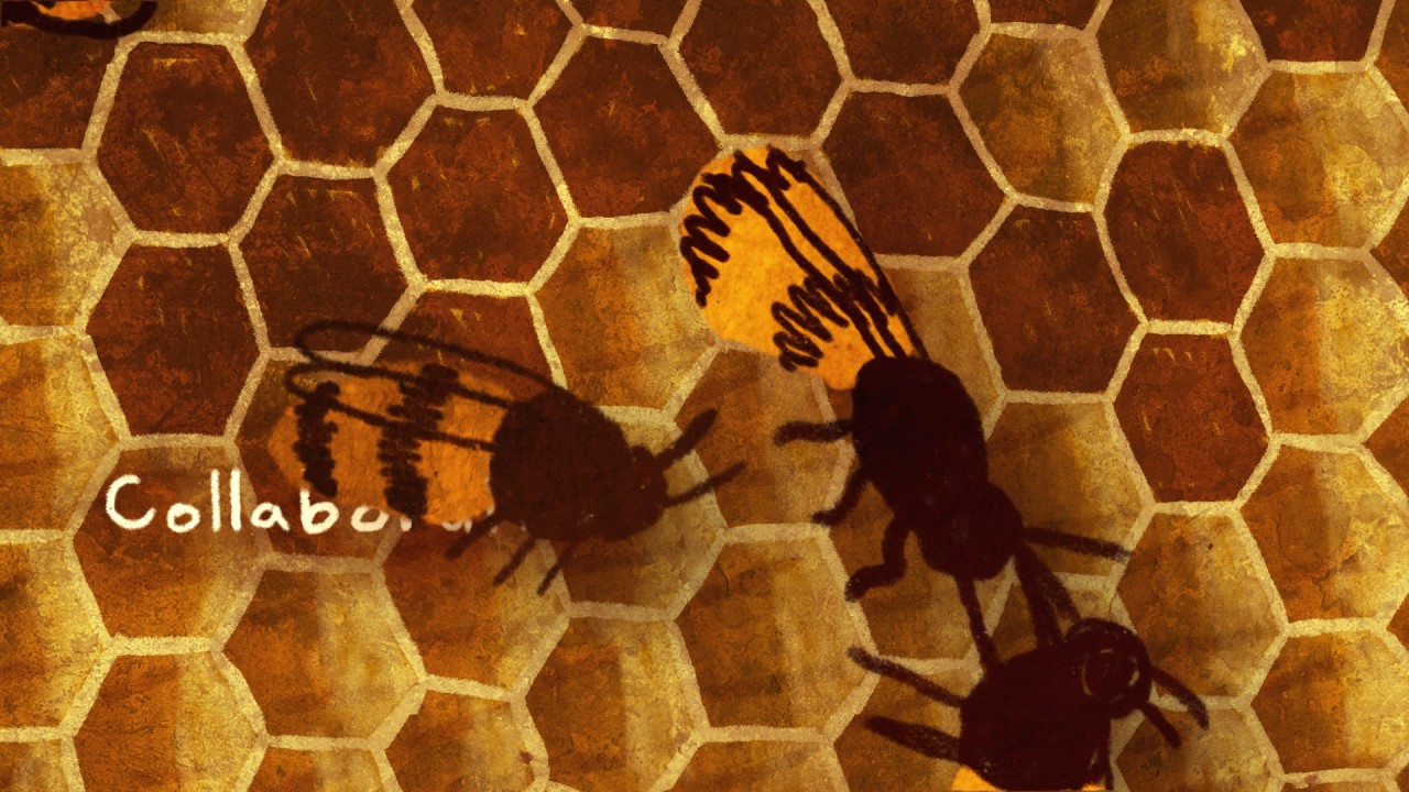 Citizen science - in researching biodiversity