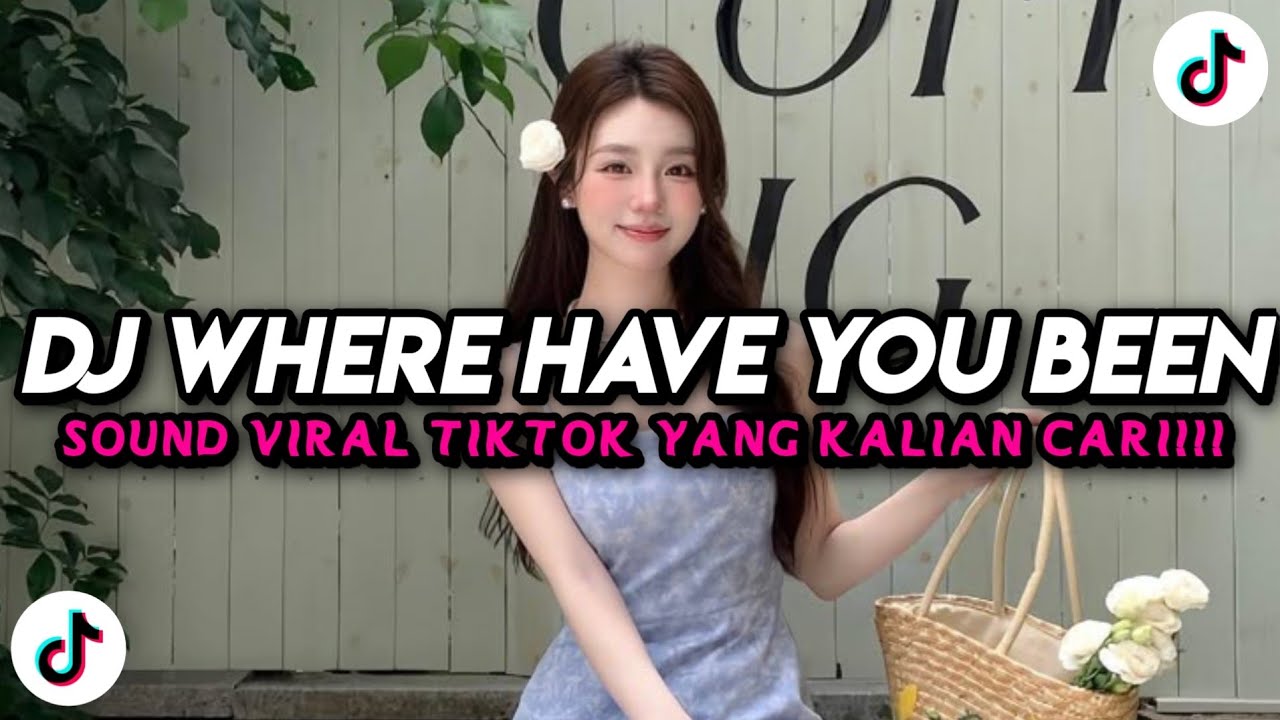 DJ WHERE HAVE YOU BEEN STEREO LOVE SLOW FULL SONG TIKTOK TERBARU 2026