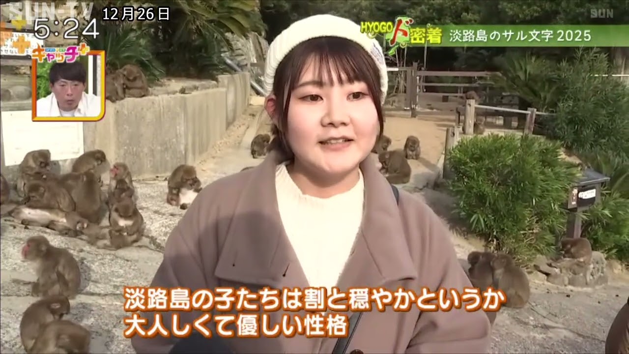 【HYOGOド密着】淡路島のサル文字 2025