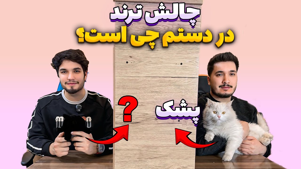 What Is In My Hand Challenge | چالش در دستم چی است؟