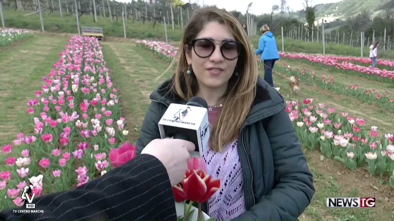 Domenica a Tulipandia