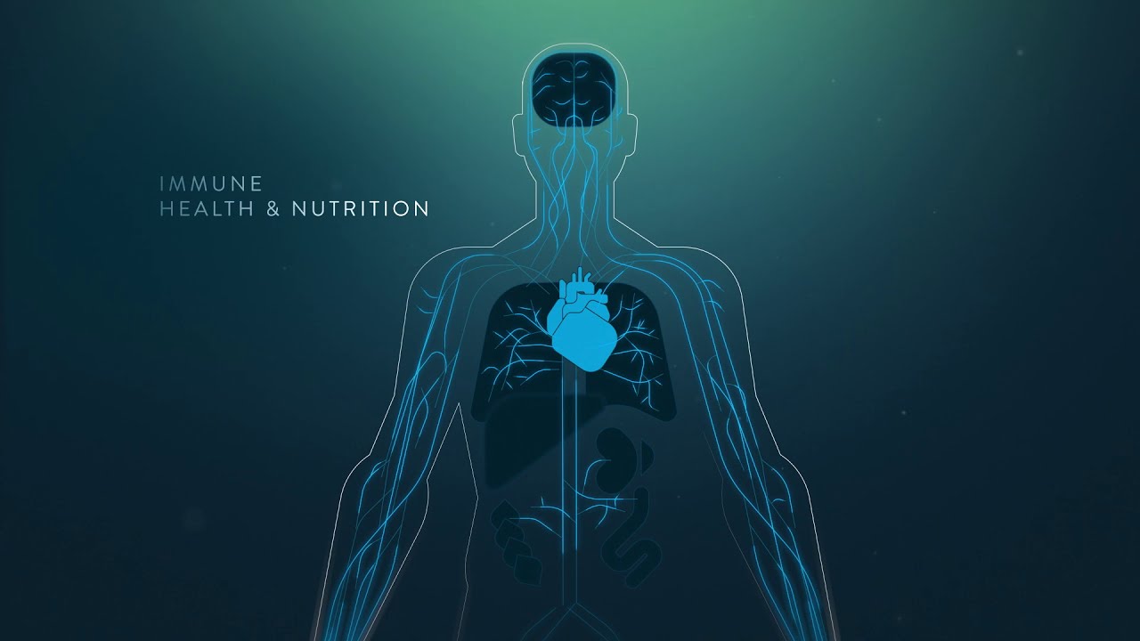 How Nutrition Supports the Immune System