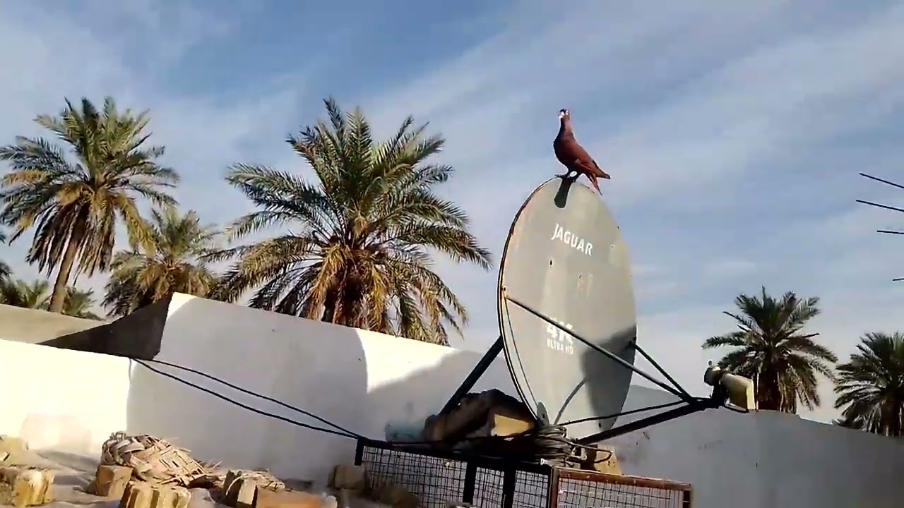 كل عام وانتو بخير ب سنة 2026