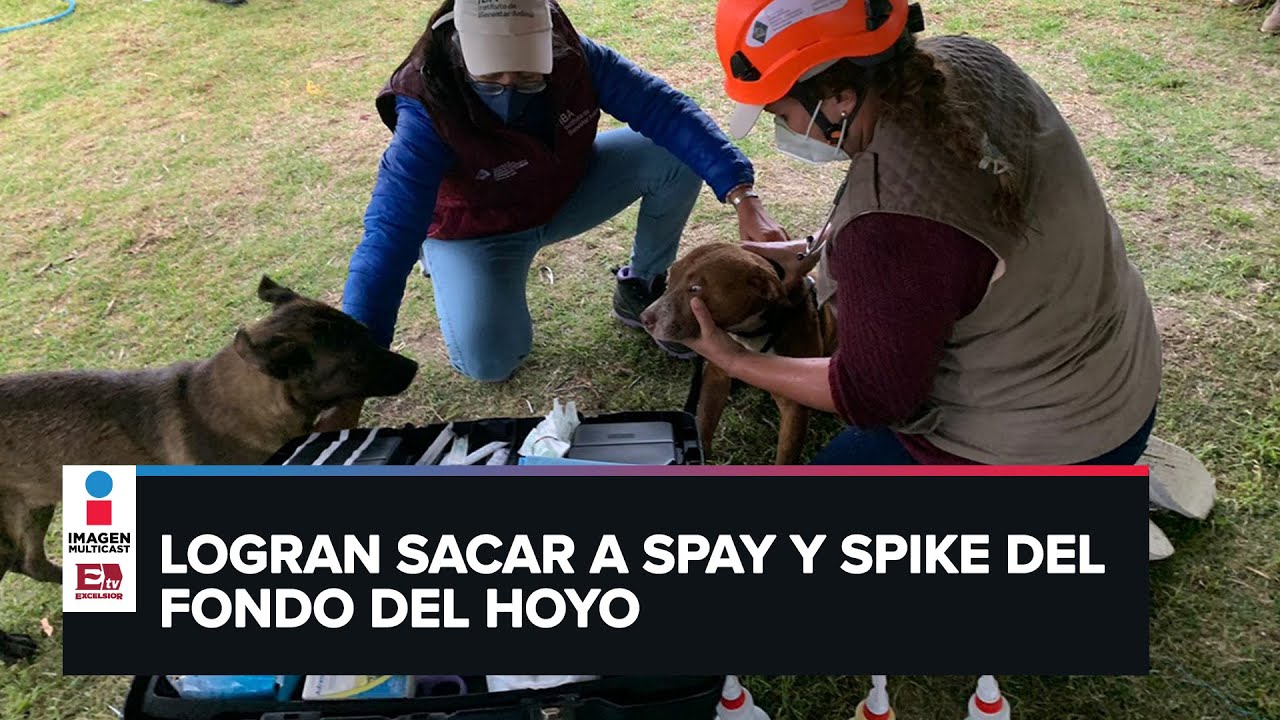 Así fue el rescate de los perritos que cayero al socavón de Puebla