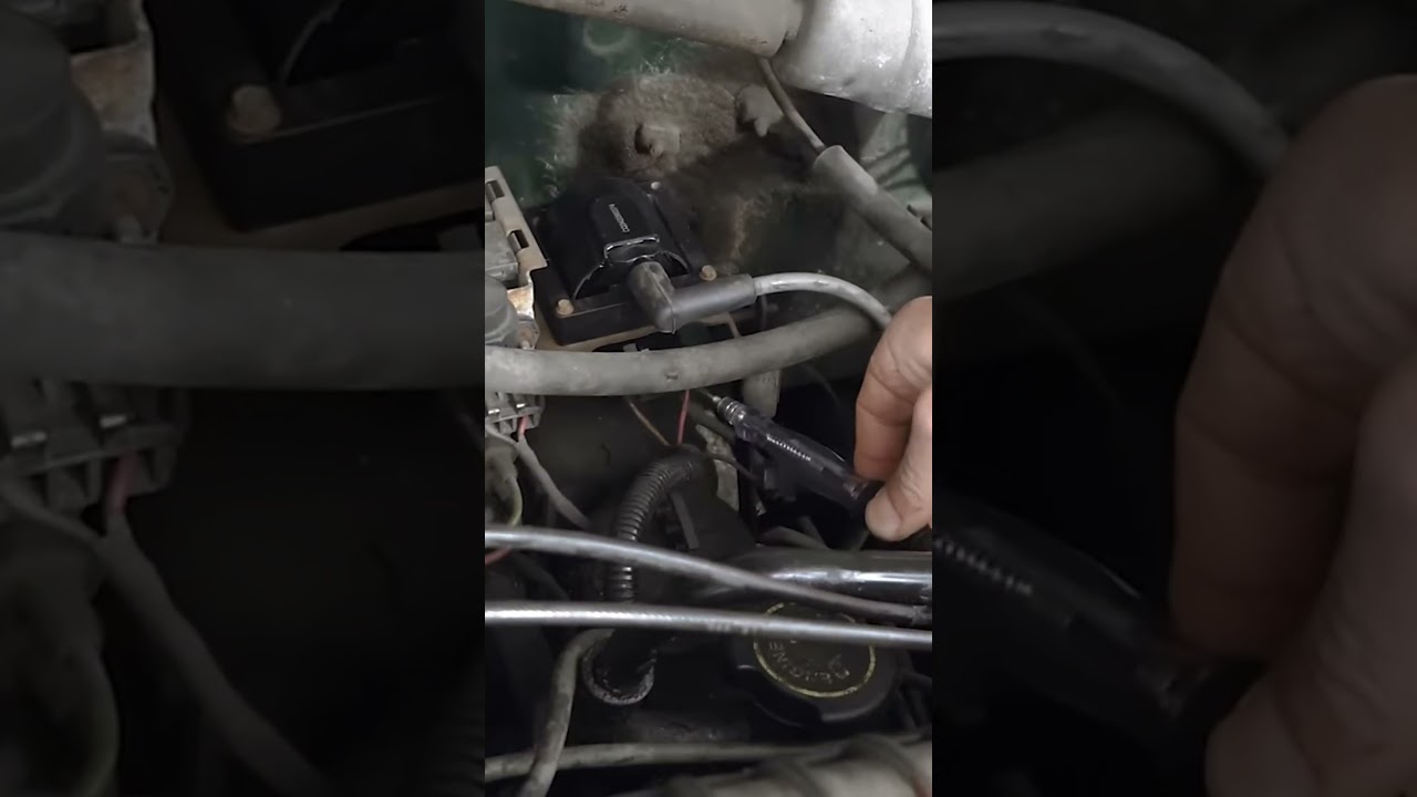No Spark Troubleshooting [Is there Coil Control?] #automotivediagnostics