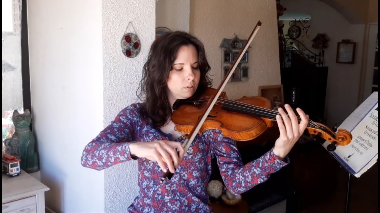 Tenue de violon/ Posture du violoniste