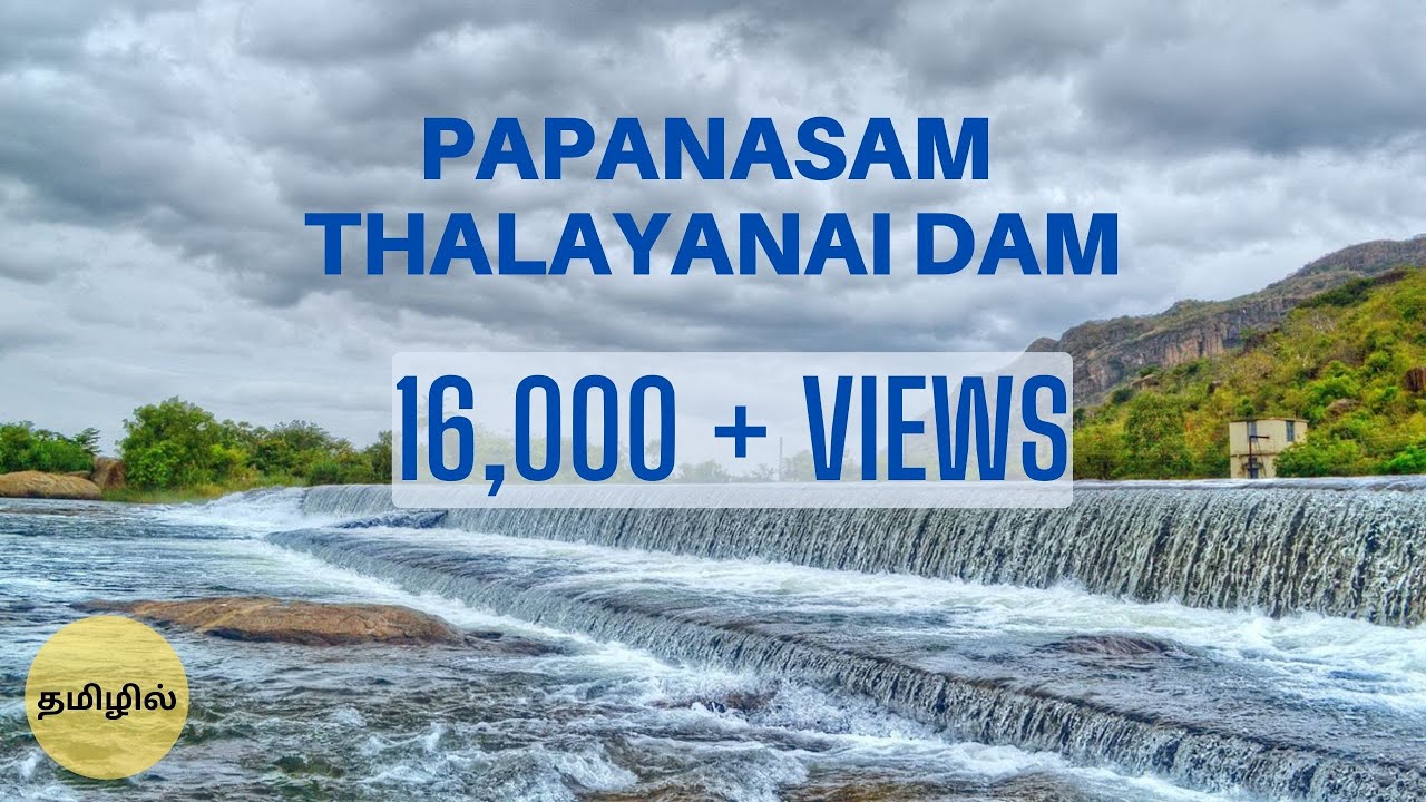 Papanasam | Thalayanai Dam | Tirunelveli | Harpy Raptor