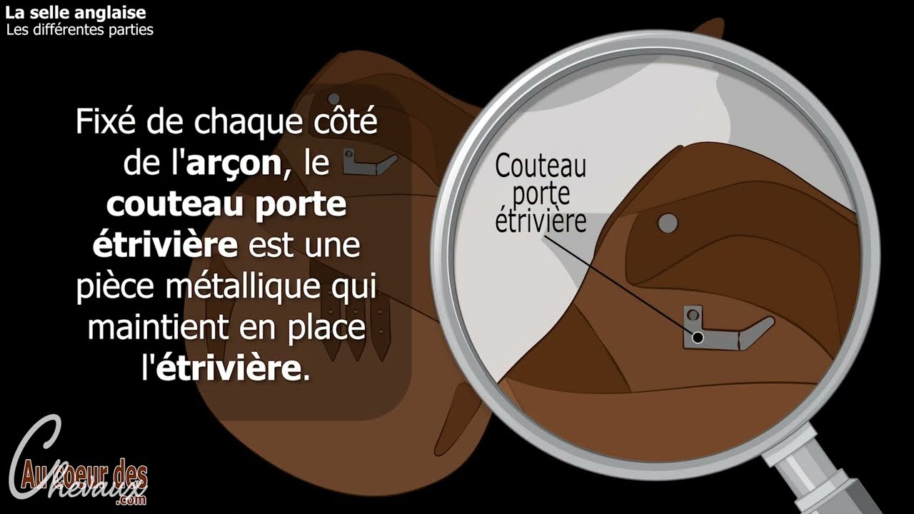 Équitation - Les différentes parties de la selle anglaise, la plus utilisée pour monter à cheval