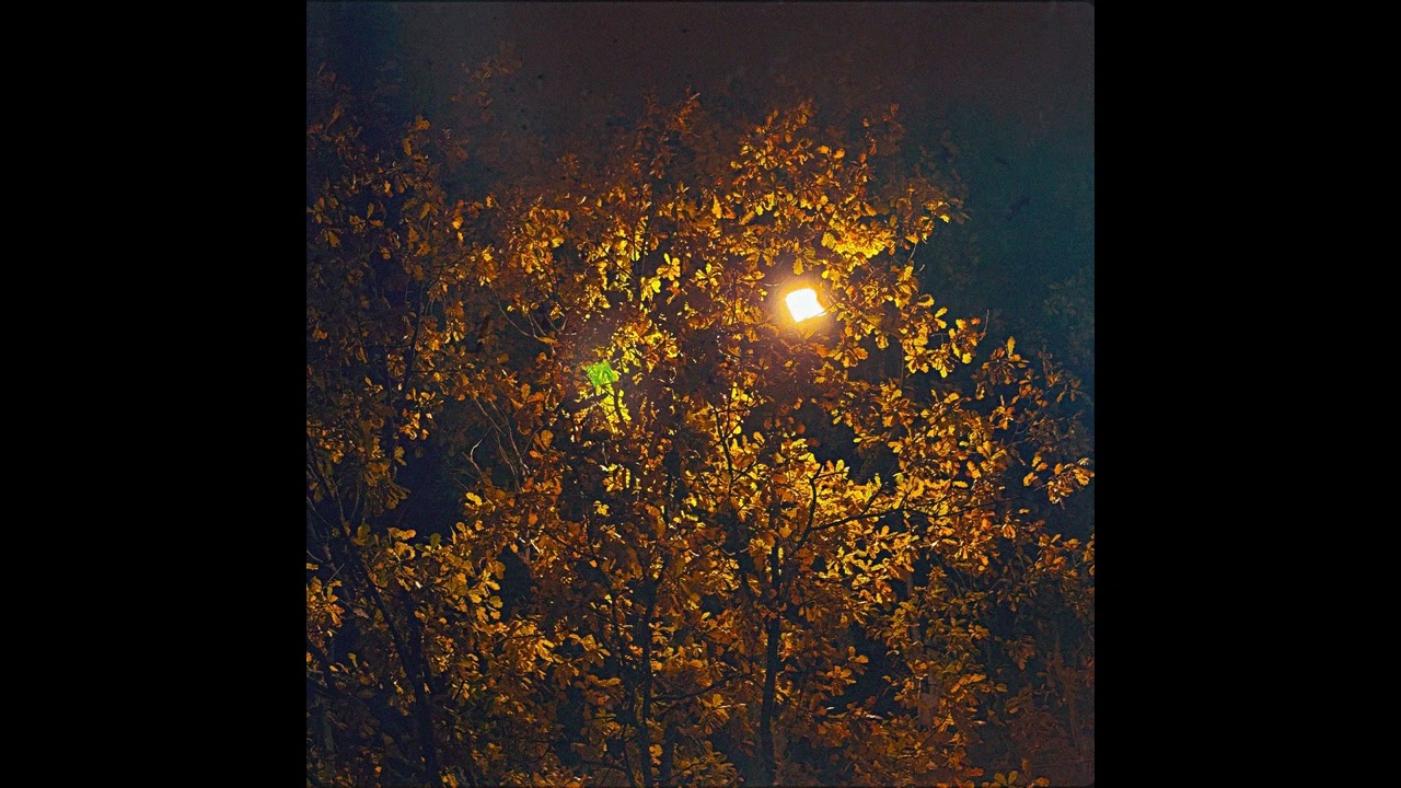 plenka - Поздней ночью