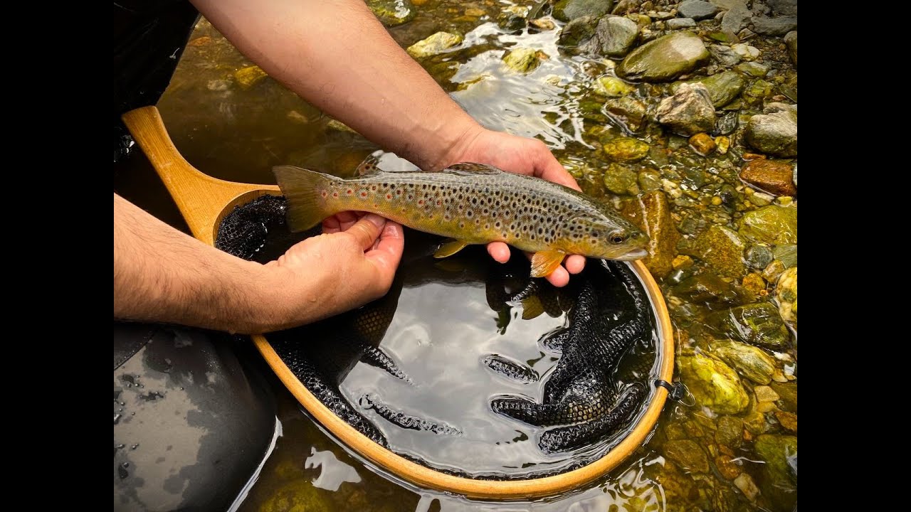 Pesca a Mosca alla Trota Sul Gennargentu. Sardegna 2024