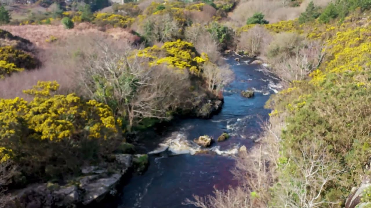 The Clady River