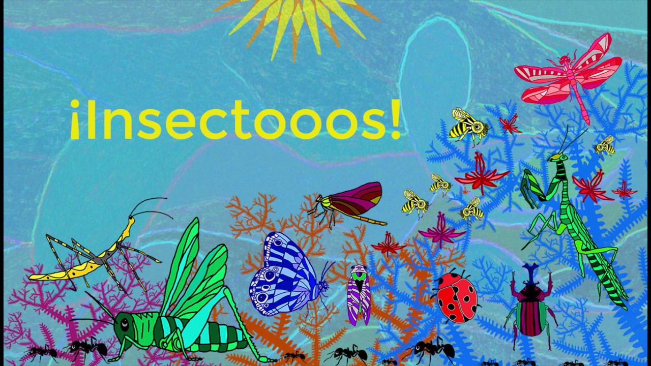Insectos (letra/lyric video)
