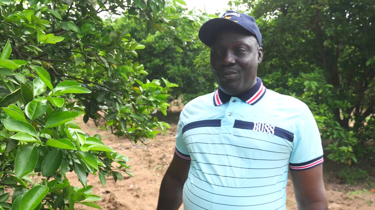 JnA2019: Agriculteur Modèle dans la filière Agrumes