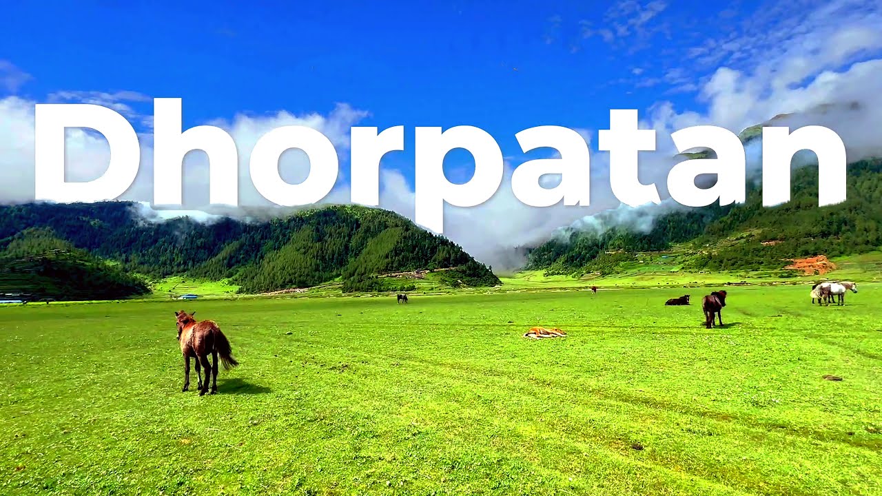 ढोरपाटन शिकार आरक्ष 😍❤️ (dhorpatan hunting reserve)❤️ V-log 👌😍❤️