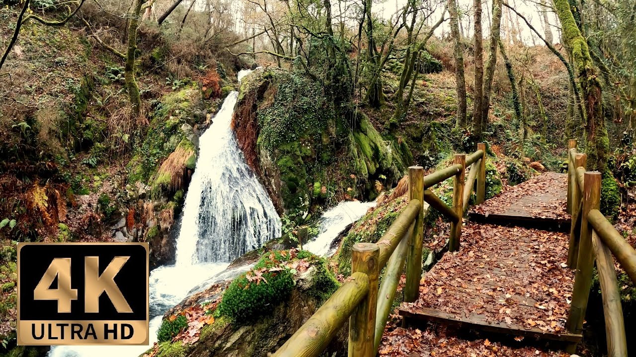 4K Virtual Hike Near River through the Forest - Waterfalls & Only Nature Sounds (No Music), Galicia