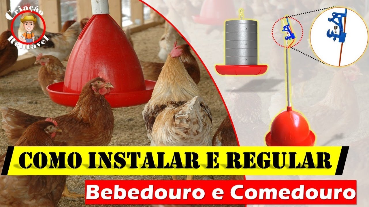 Como fazer a instalação e regulagem do bebedouro automático e do comedouro!!