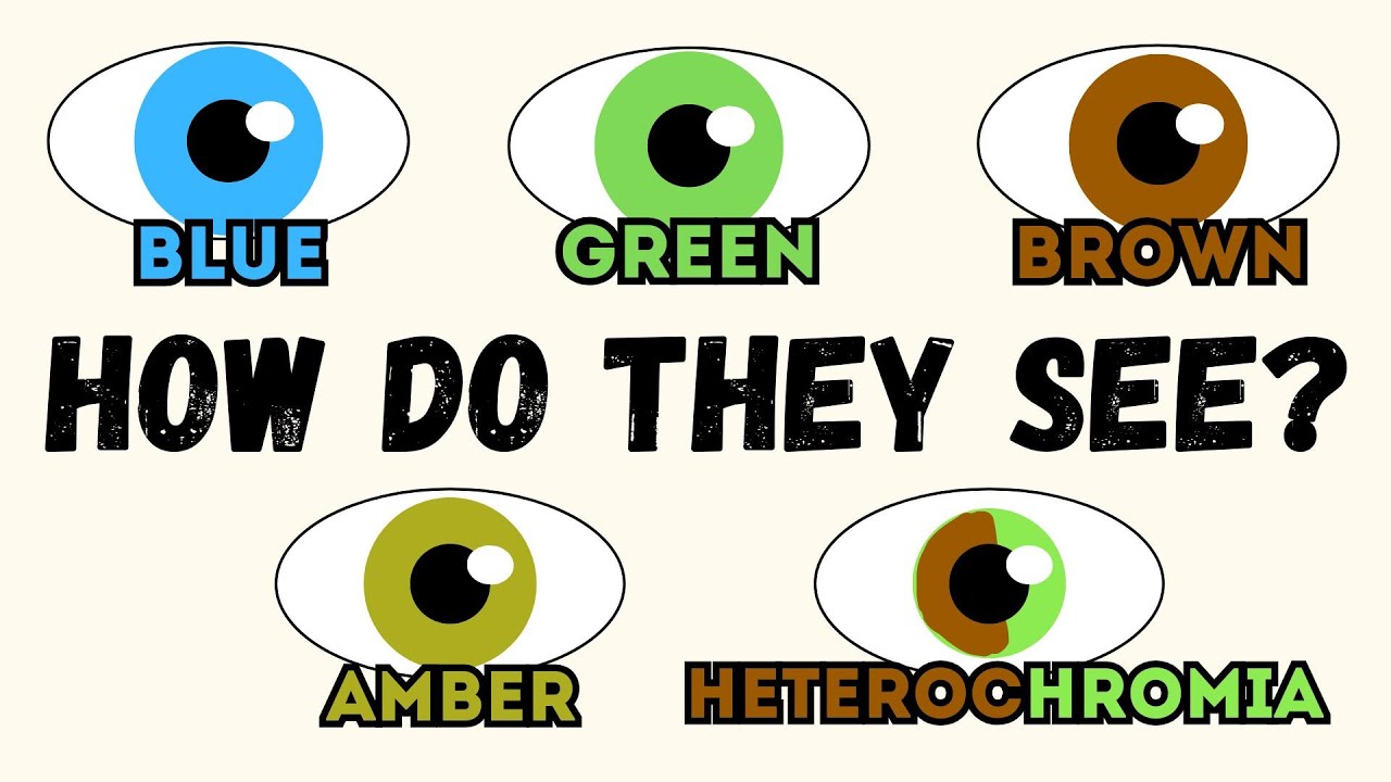 Top 5 Eye Colors and Their Hidden Advantages Explained in 6 minutes