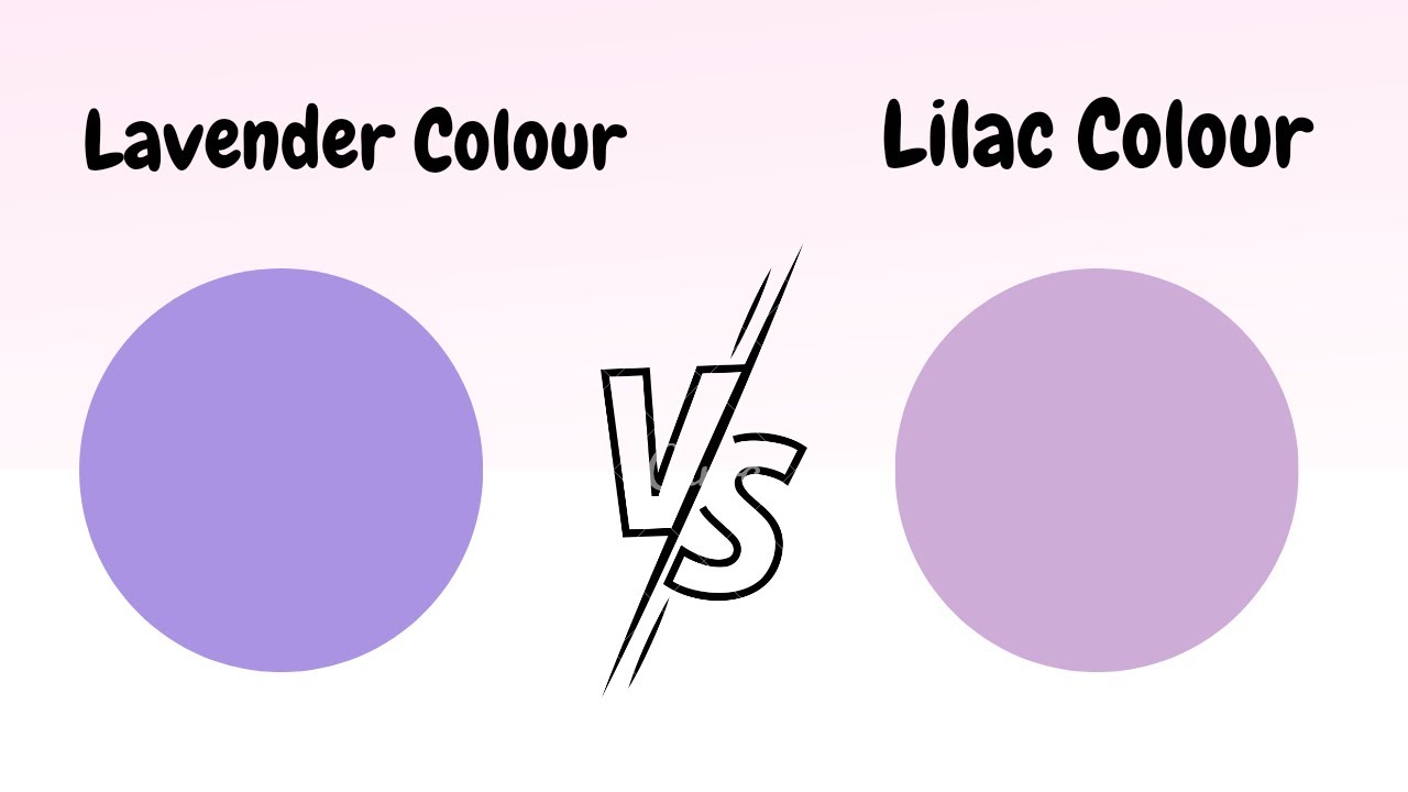 How to make Lavender and Lilac Colour | Lavender and Lilac Colour Making || Painting Pot Gallery