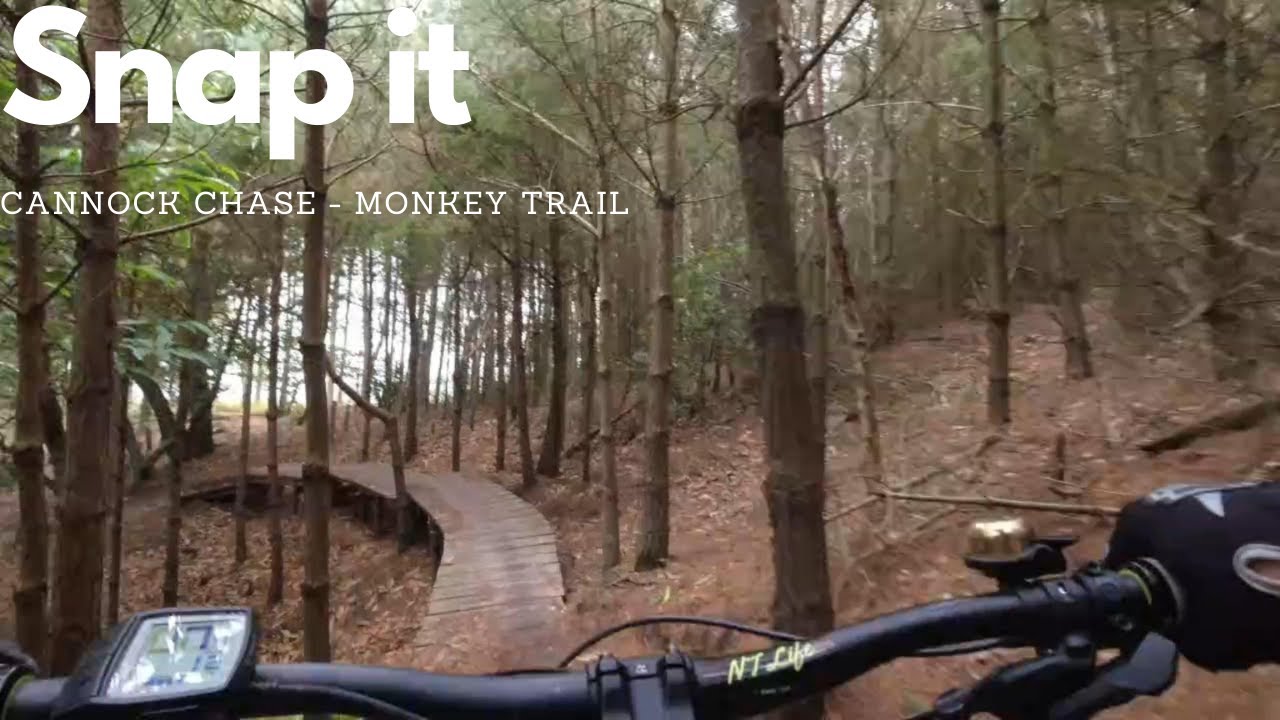 Snap it - Cannock Chase Monkey Trail MTB