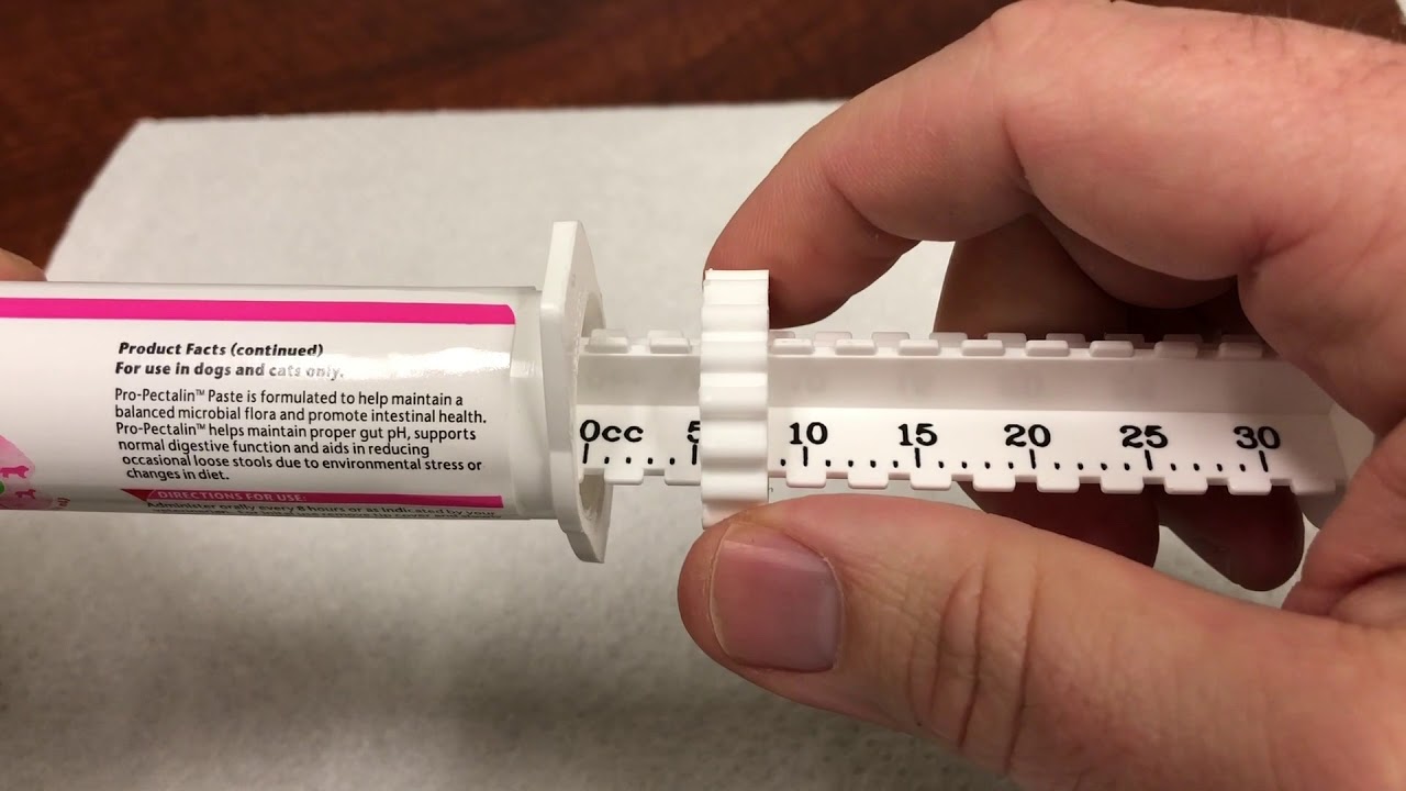 How to Use the Pro-Pectalin Dial A Dose Syringe