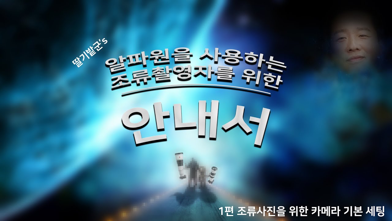 조류촬영자를 위한 안내서 #1 카메라 기본세팅
