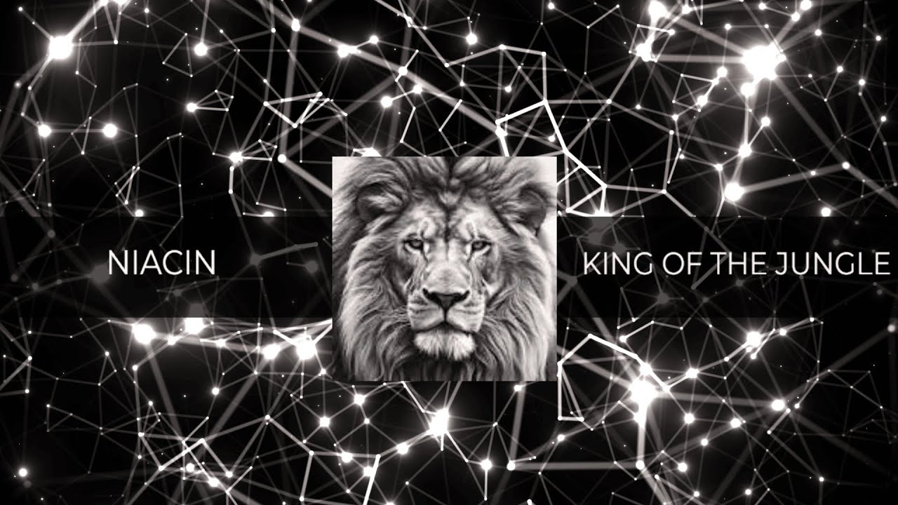 NIACIN - KING OF THE JUNGLE [𝗙𝗥𝗘𝗘 𝗗𝗢𝗪𝗡𝗟𝗢𝗔𝗗]