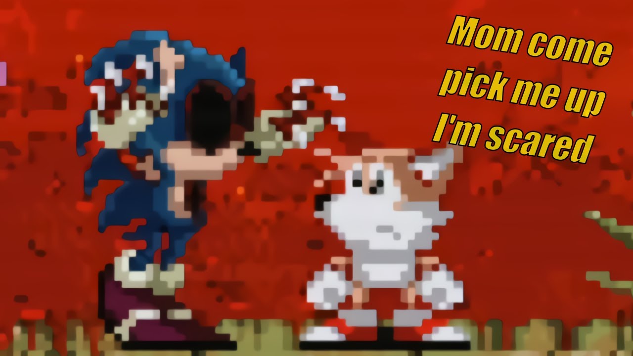 Sonic.err errors out and scares Tails.