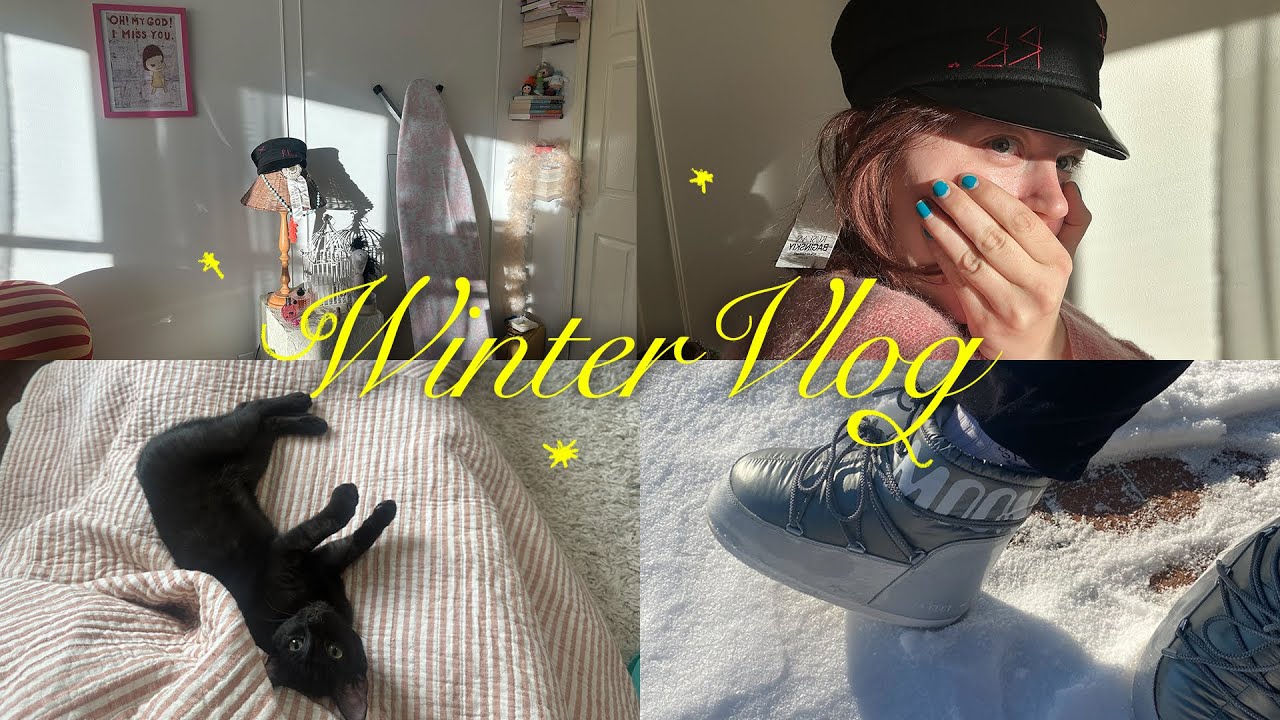 snowed in vlog ❆ oversharing, favorite books, dollar tree haul, Q+A