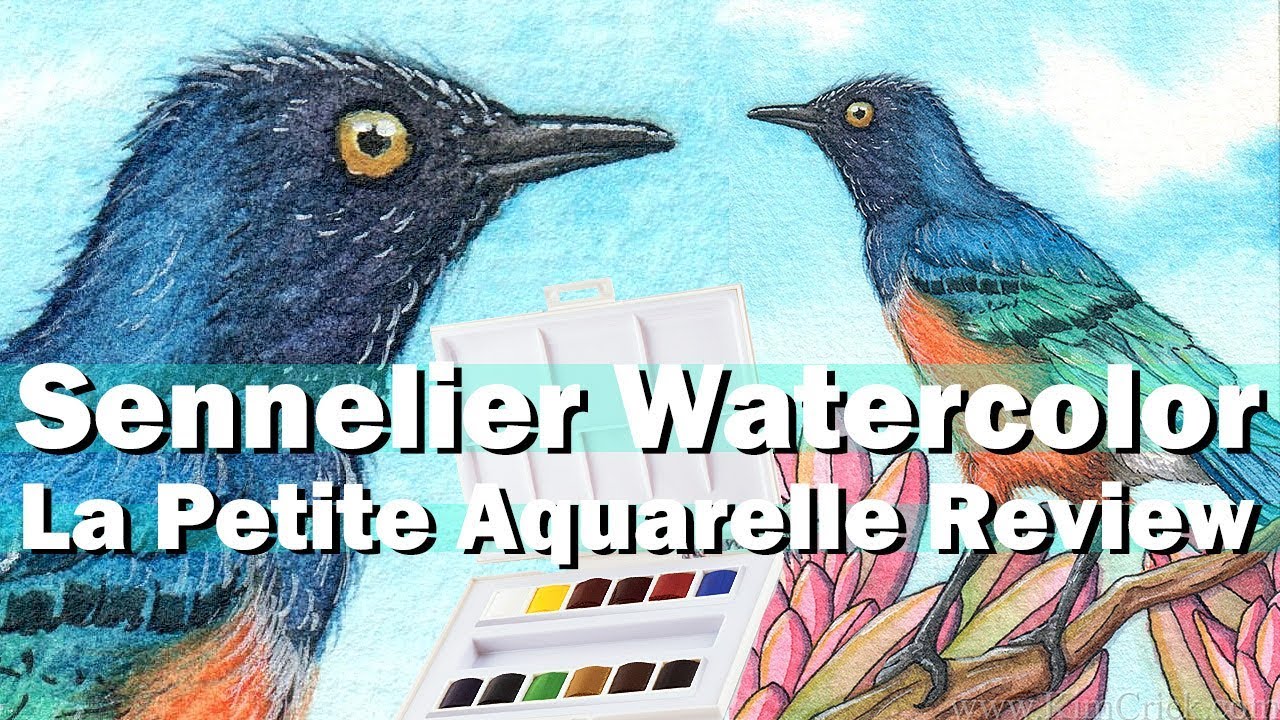 Sennelier La Petite Aquarelle Watercolor Review 12 Half Pan Set Swatch & Bird Painting