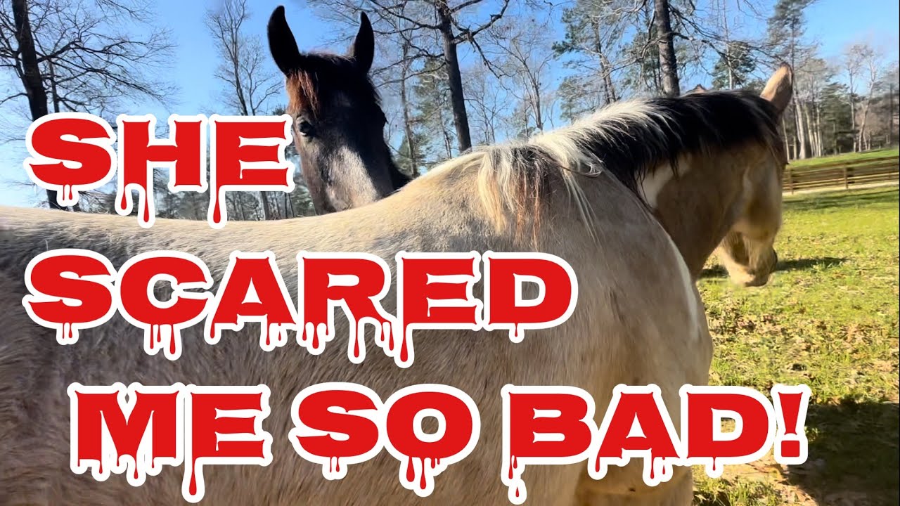 We’ve Got a Horse Problem