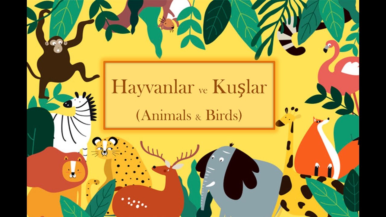 Animals and Birds in Turkish Language