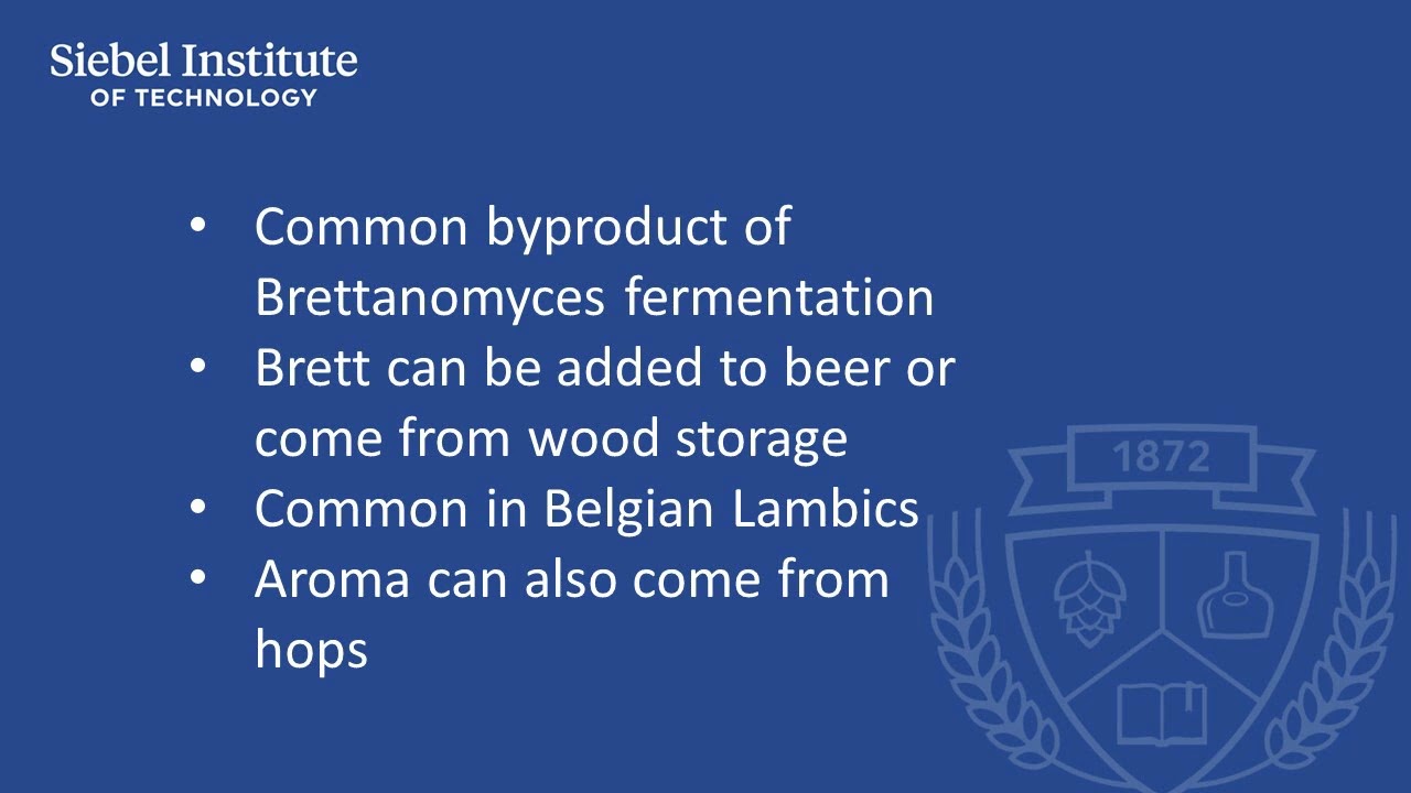 Pineapple - Beer sensory characteristics, causes and control factors