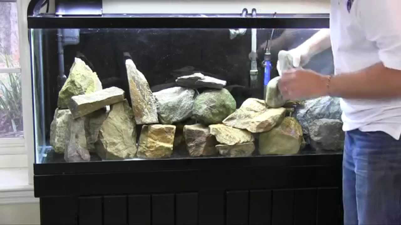 Fincasters Episode 50: Setting up an African Cichlid Aquarium