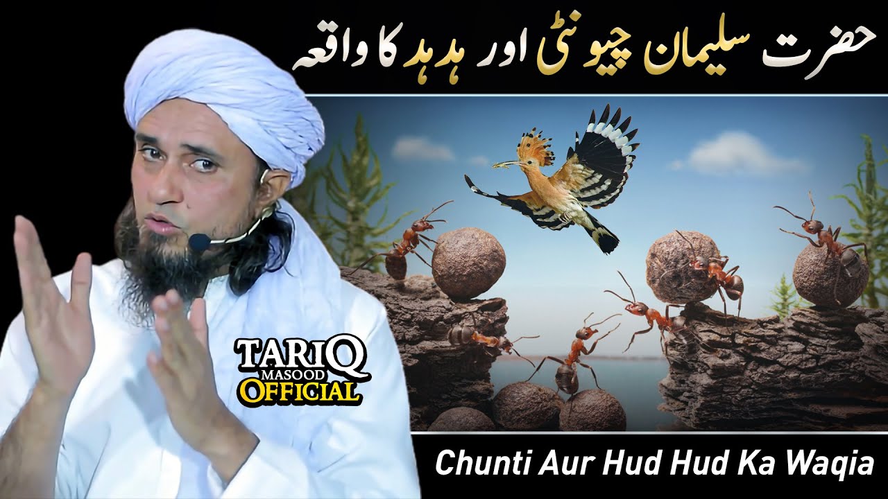 Story | Hazrat Suleman, Chunti Aur Hud Hud Ka Waqia | Mufti Tariq Masood @Tariq Masood Official