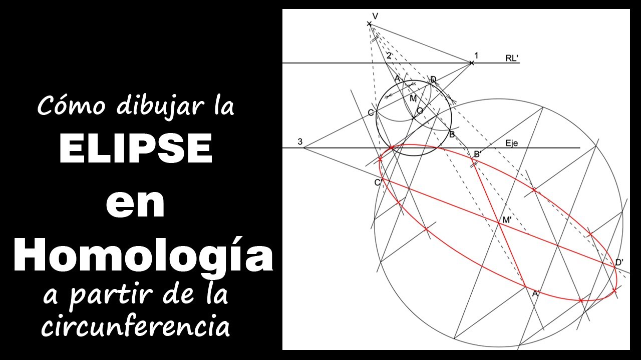 La circunferencia en Homología I: la elipse
