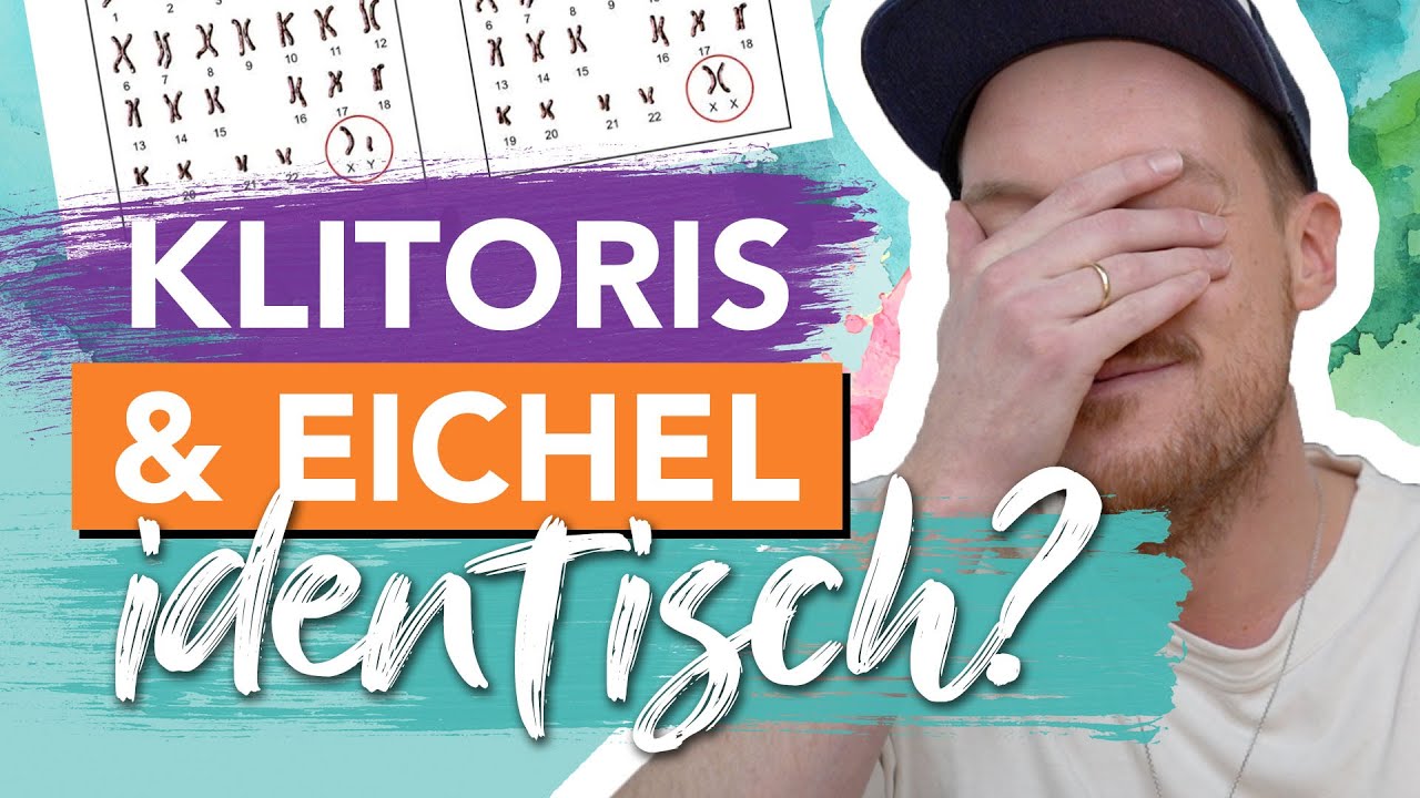 Unterschiede zwischen Frau und Mann die keine sind I #science