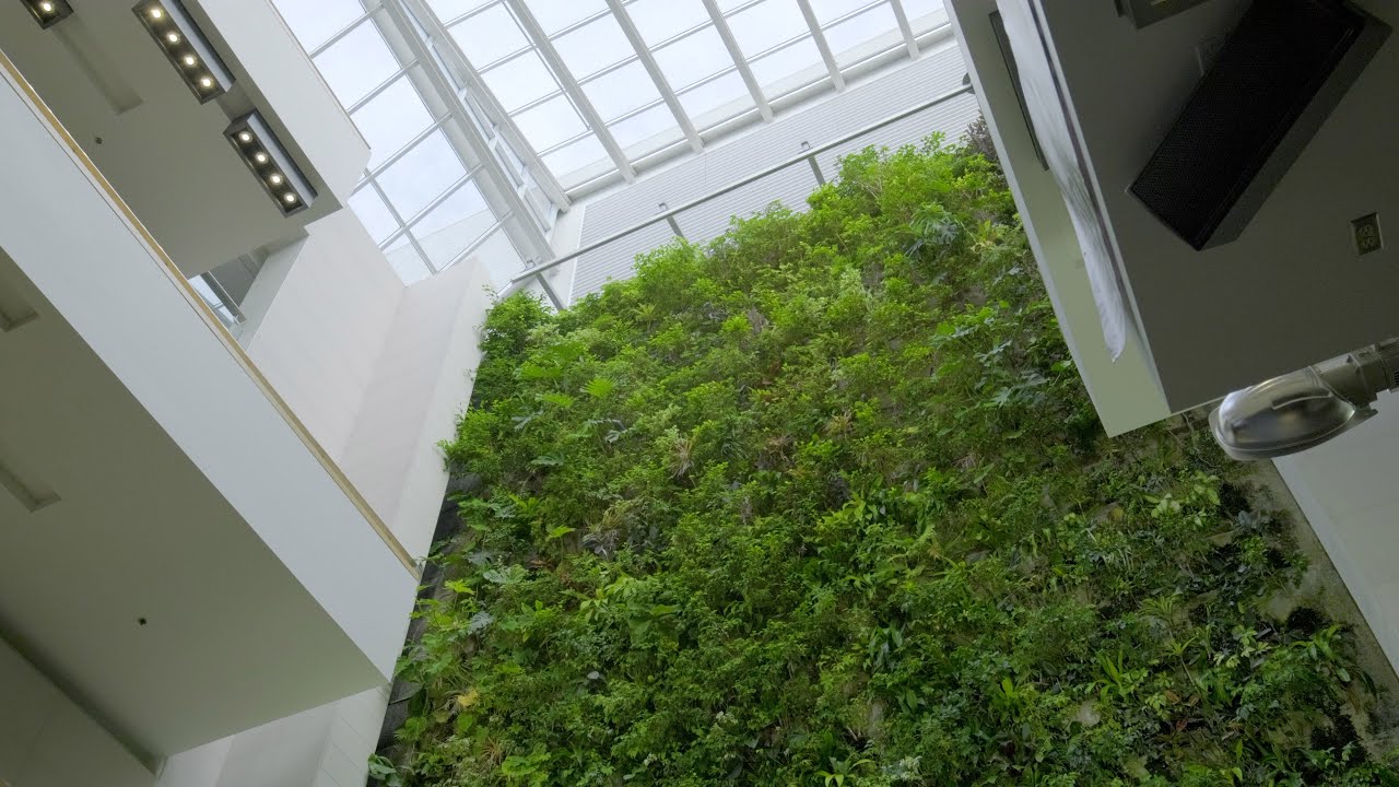 Virtual Tour: Plant Wall