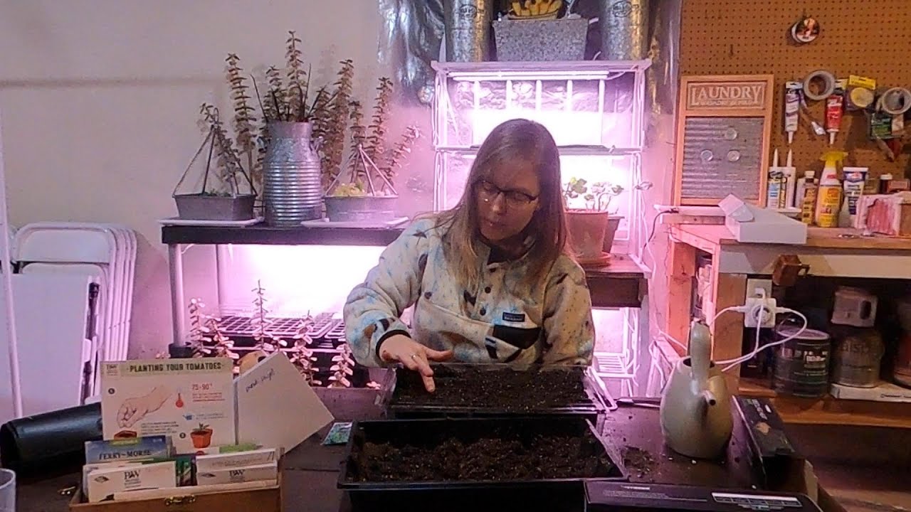 New Grow Lights, Heating Mats and Planting Kale Seeds 💡🌱🌡 // Suburban Oasis January 2021