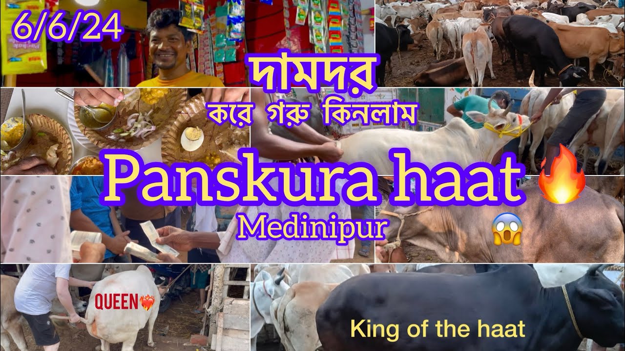 Panskura haat Medinipur❤️‍🔥|| 6th June 2024 || দামদর করে গরু কিনলাম | Sk Ramjan Ali | Vlog