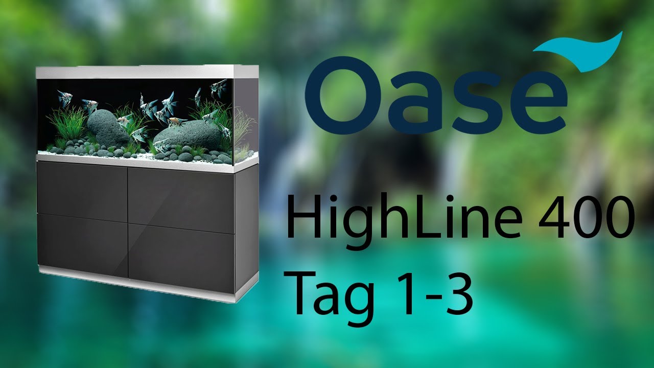 Oase 400 Einrichten und Starten