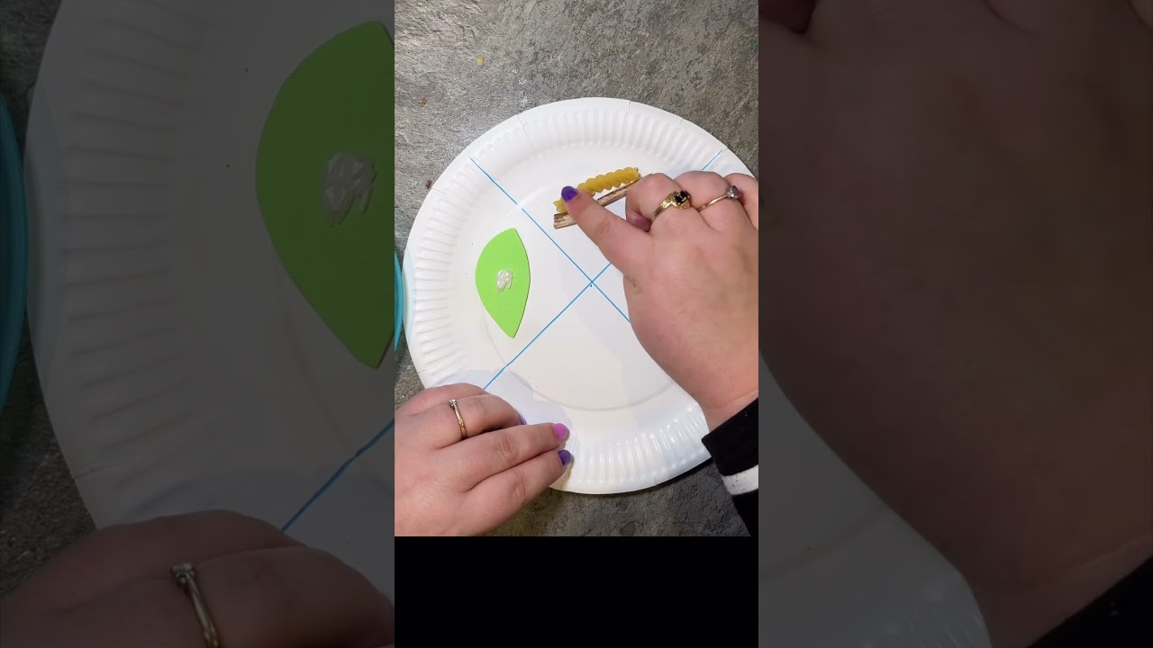 🦋Butterfly Life Cycle!💕 🐛 #preschoolactivities #preschoolathome #preschoolhomeschool #sciencecrafts