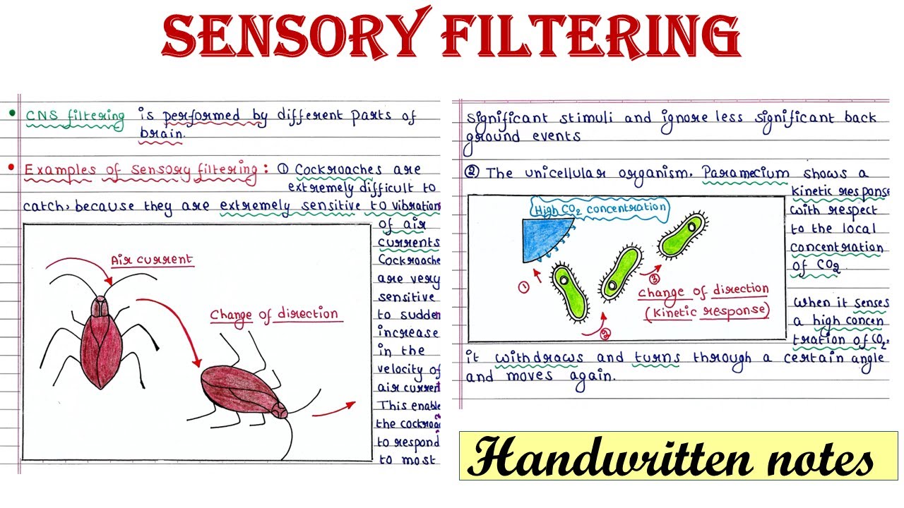Sensory filtering | Stimulus filtering | Ethology