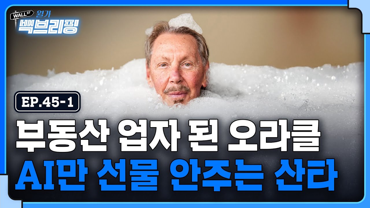 올해 산타랠리에서 AI는 빠지게 되는 걸까 | 월가백브리핑