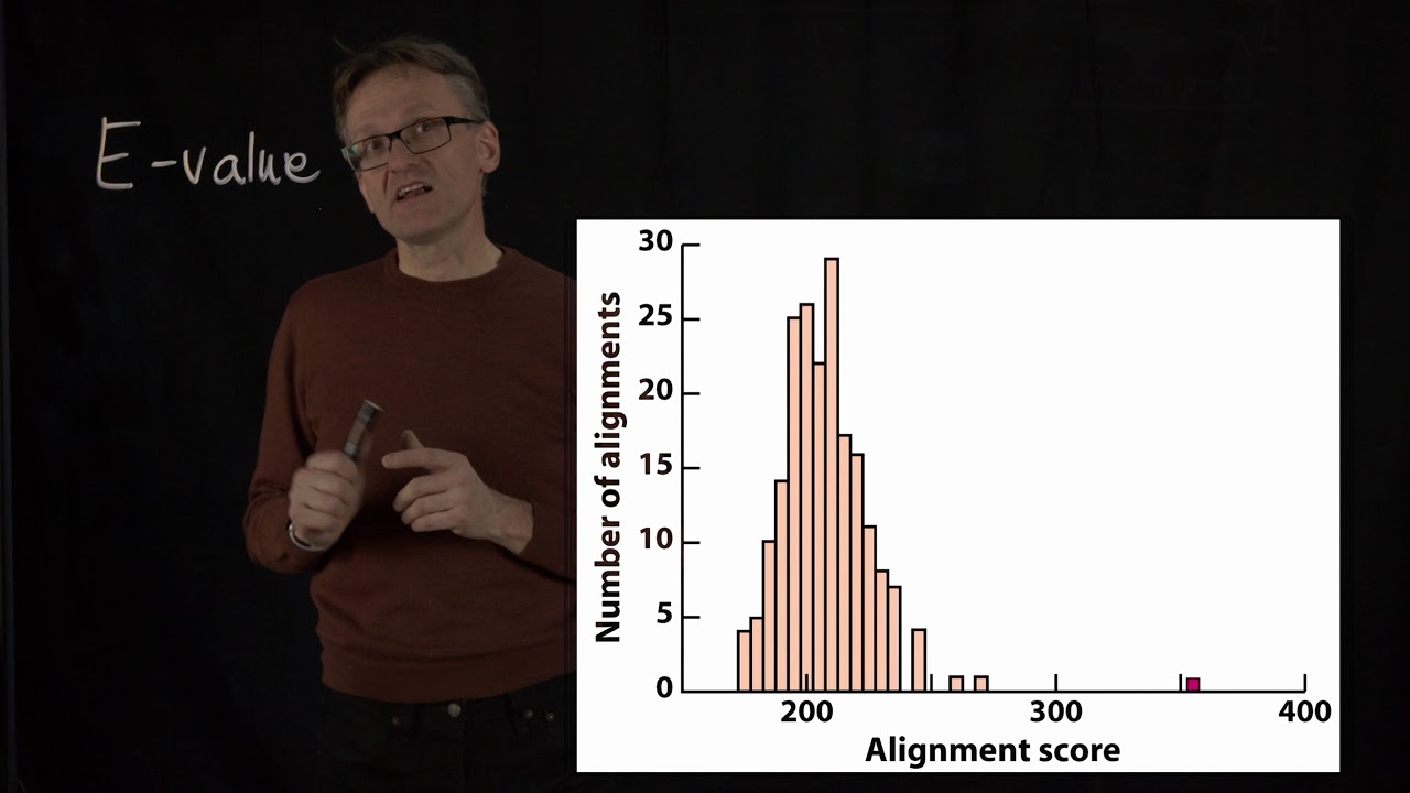 Lecture 11, concept 18: E-values indicate how statistically significant matches are