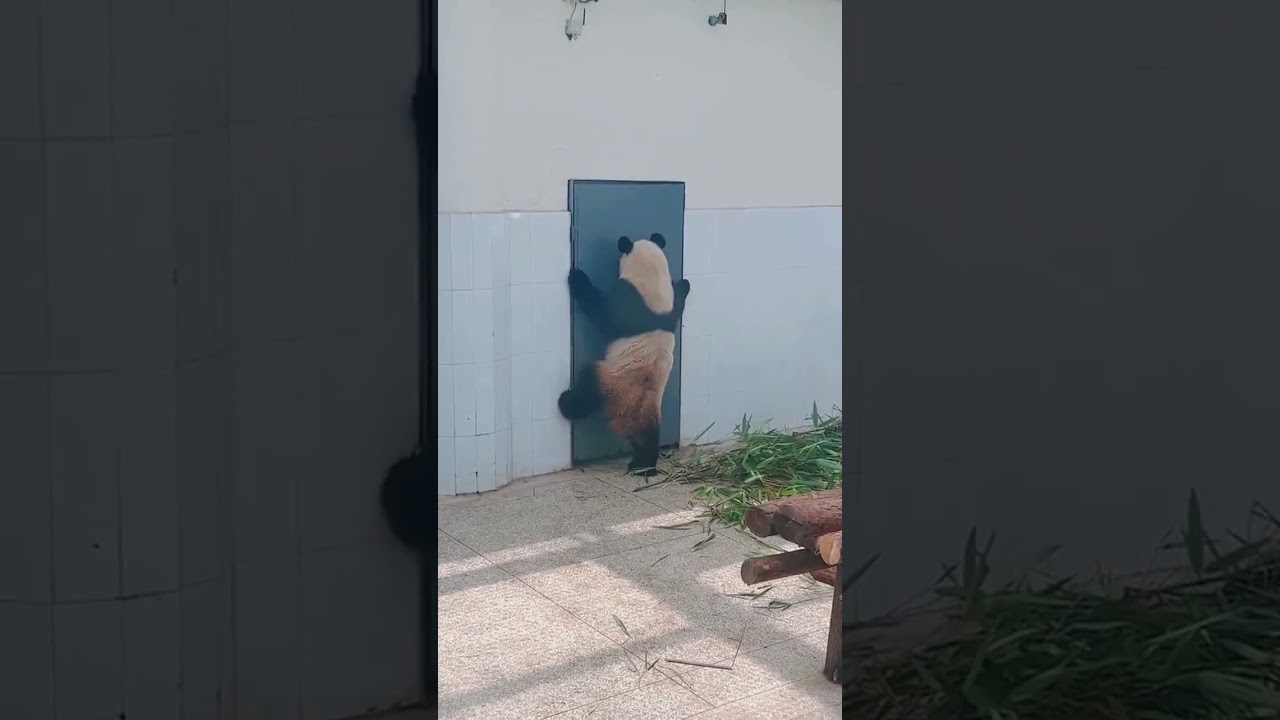 Мобилизация ТЦК L