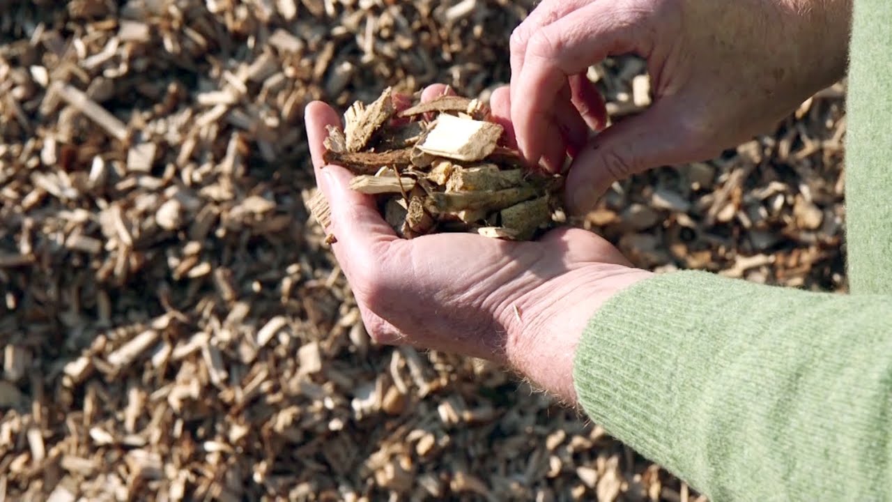 Biomasse aus der Knickpflege nutzen