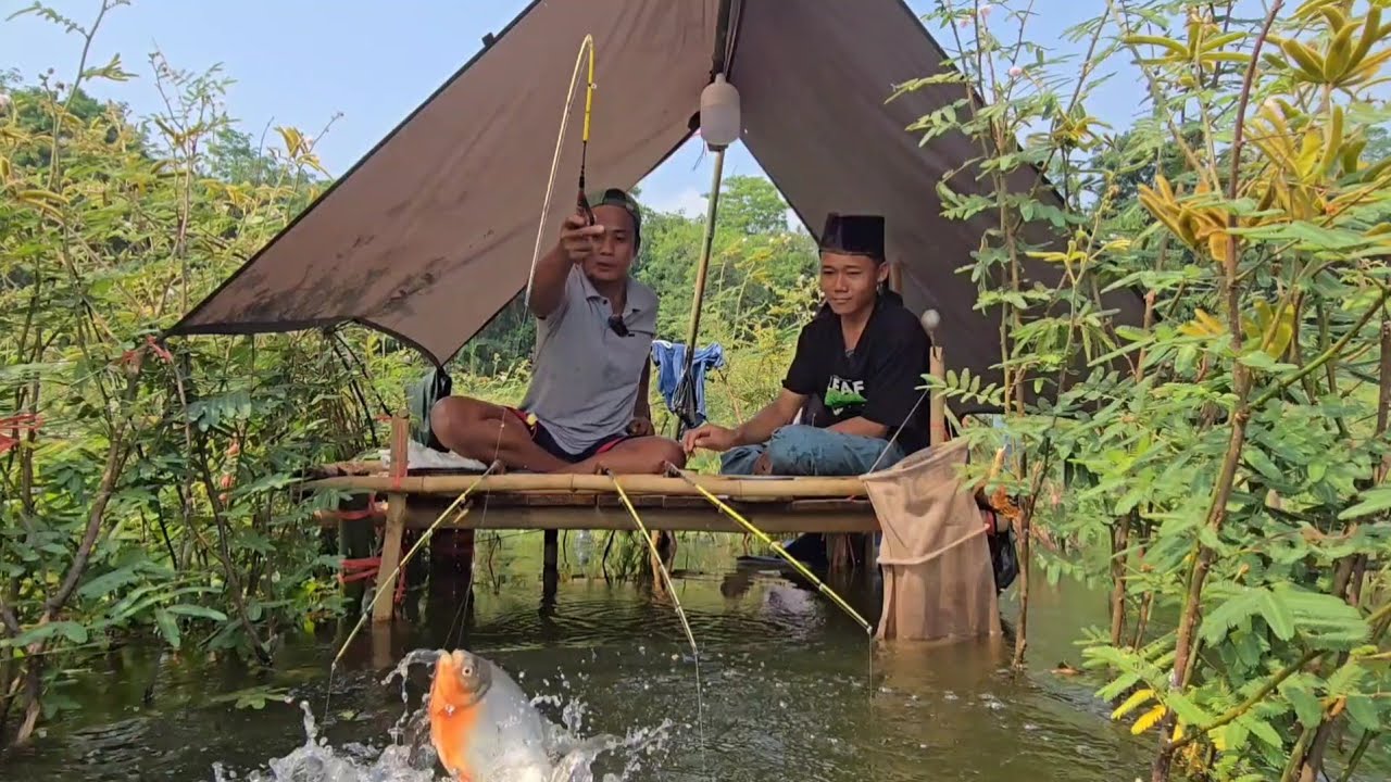 CAMP FISHING Ep.441 Kaget Alhamdulillah Spot Gut gat Kali ini diHuni Monster Firanha Cirata