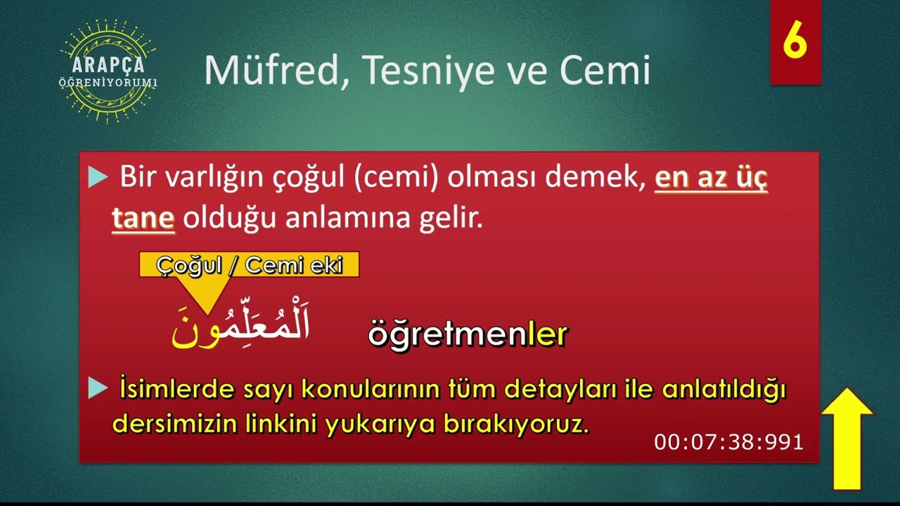 M&Uuml;FRED, TESNİYE VE CEMİ NE DEMEKTİR | Kuran Arap&ccedil;ası #kuranarap&ccedil;ası #arap&ccedil;a&ouml;ğreniyorum